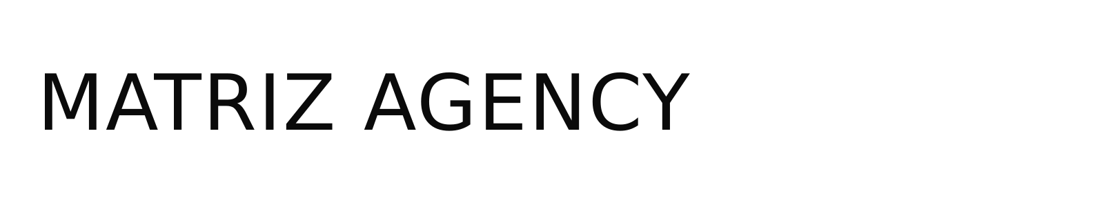 MATRIZ AGENCY LLC